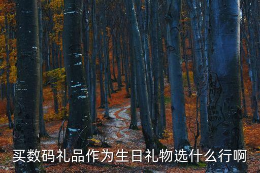 數(shù)碼禮品，電子行業(yè)給客戶送什么數(shù)碼禮品比較好