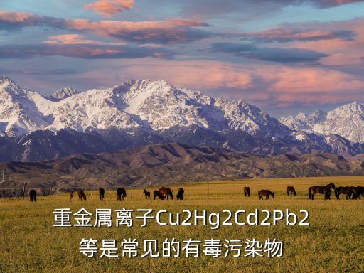 重金屬離子Cu2Hg2Cd2Pb2等是常見的有毒污染物