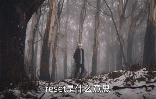 reset是什么意思，Reset中文意思