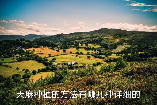 天麻種植方法，天麻如何選種栽種