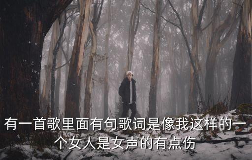 有一首歌里面有句歌詞是像我這樣的一個(gè)女人是女聲的有點(diǎn)傷