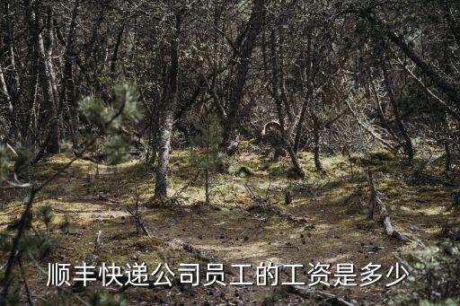 順豐快遞員工資，有那位知道在順豐快遞公司快遞員有多少錢一個月啊