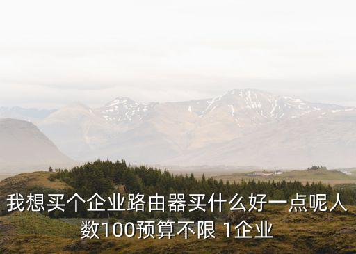 我想買個企業路由器買什么好一點呢人數100預算不限 1企業