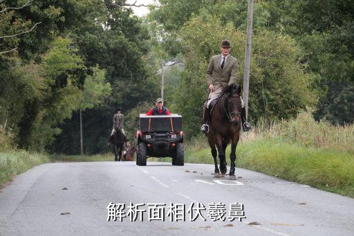 伏羲鼻，算命先生說我的鼻子是一筆透天堂是什么意思