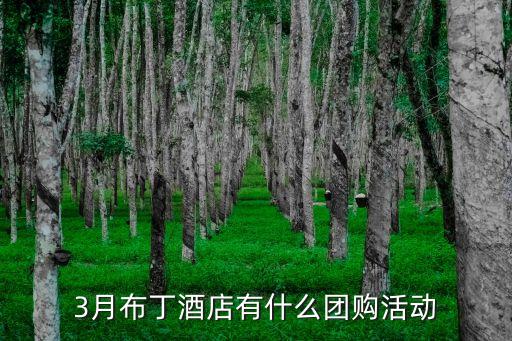 布丁酒店團購，3月布丁酒店有什么團購活動