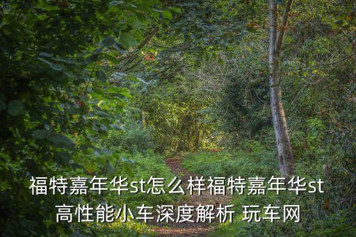 福特嘉年華st怎么樣福特嘉年華st高性能小車深度解析 玩車網
