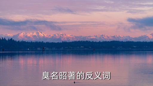 臭名遠揚的反義詞，頗負盛名的反義詞