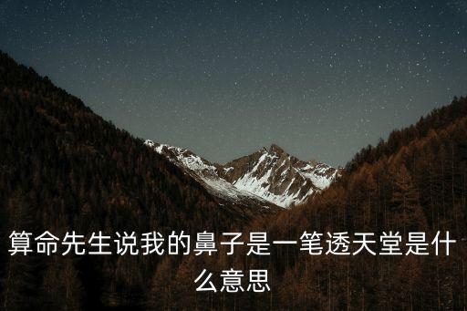 算命先生說我的鼻子是一筆透天堂是什么意思