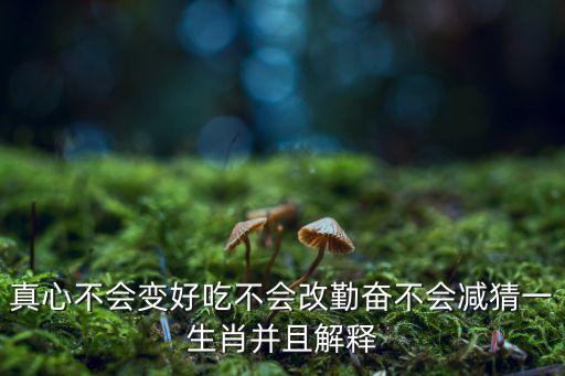 真心不會變好吃不會改勤奮不會減猜一生肖并且解釋