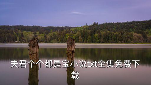夫君個個都是寶，女主強大NP穿越文