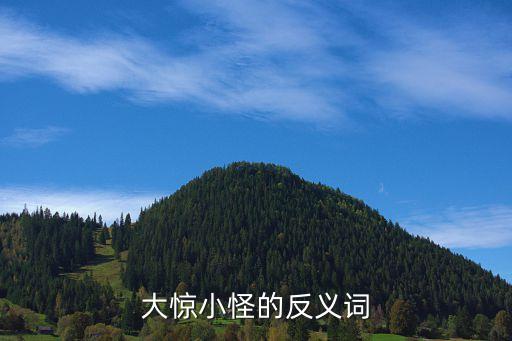 大驚小怪的意思，大驚小怪的兩個同義詞和兩個反義詞