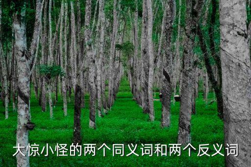 大驚小怪的兩個同義詞和兩個反義詞
