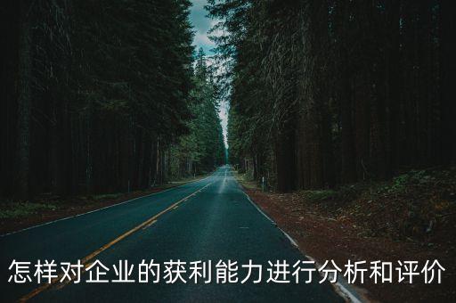 怎樣對企業(yè)的獲利能力進行分析和評價