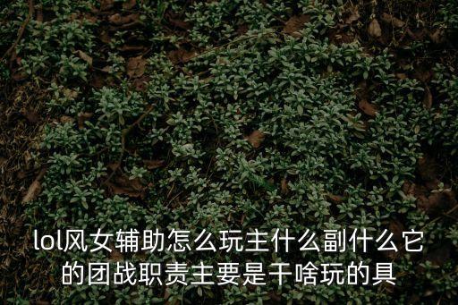 lol風(fēng)女輔助怎么玩主什么副什么它的團(tuán)戰(zhàn)職責(zé)主要是干啥玩的具