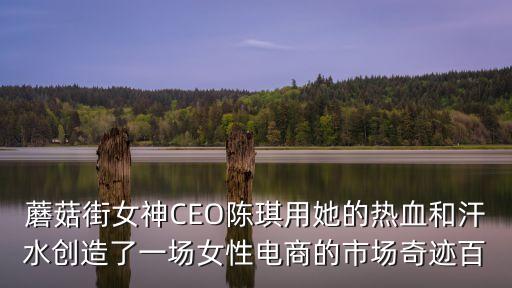 蘑菇街女神CEO陳琪用她的熱血和汗水創(chuàng)造了一場(chǎng)女性電商的市場(chǎng)奇跡百