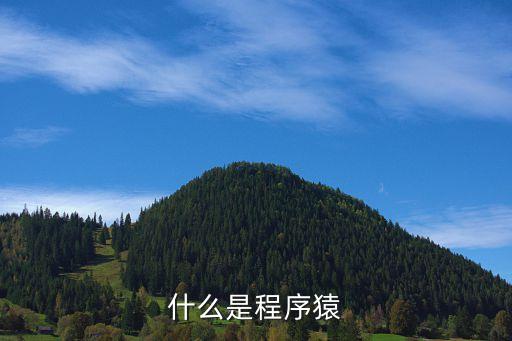 什么是創(chuàng)客，什么是程序猿