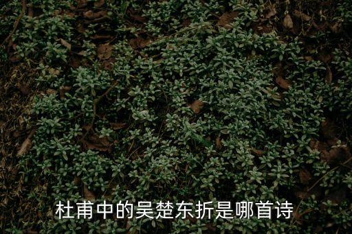 杜甫中的吳楚東折是哪首詩
