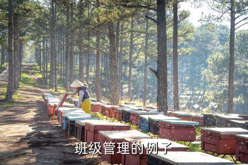 班級管理的例子