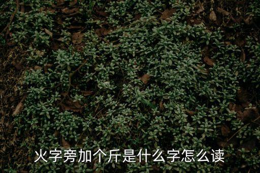 火字旁加個斤是什么字怎么讀