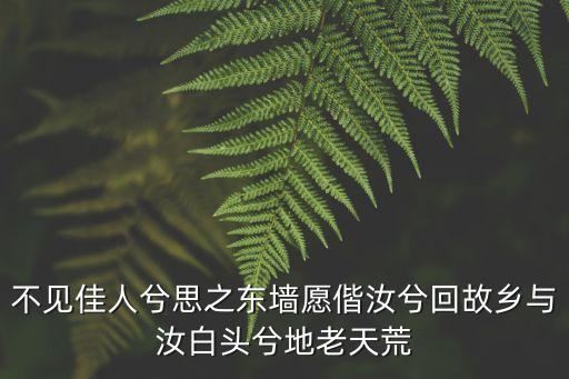 不見佳人兮思之東墻愿偕汝兮回故鄉與汝白頭兮地老天荒