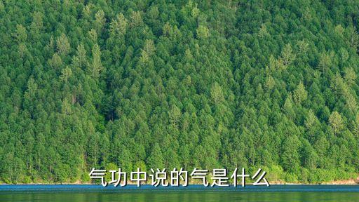 中國氣功，中國是否有氣功