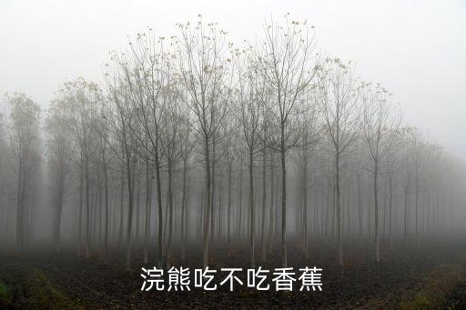 浣熊吃什么，浣熊吃不吃香蕉