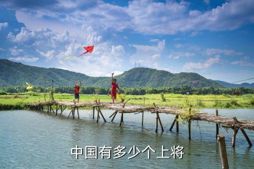 中國人民解放軍上將，中國有多少位上將又叫什么名字