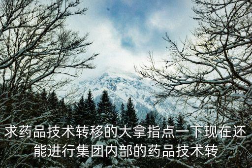 藥品技術轉讓，醫藥技術轉讓在那個網站里可以弄