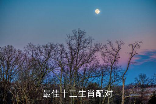 十二生肖最佳配對，十二生肖誰與誰結合最好