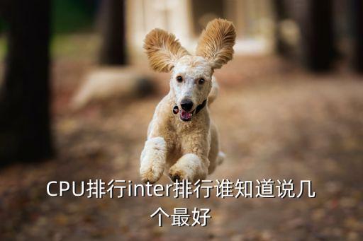 英特爾處理器排名，英特爾cpu性能排名