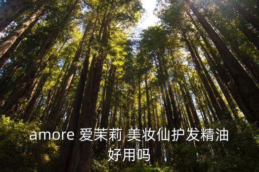 美妝仙，amore 愛茉莉 美妝仙護發精油好用嗎