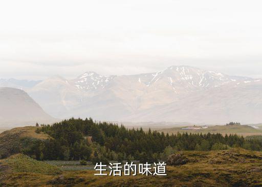 生活的味道，生活的味道