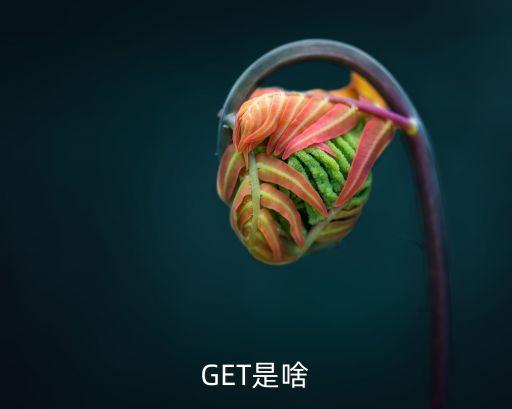 get，GET是啥