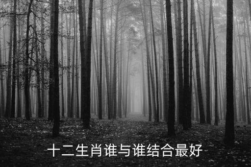 十二生肖誰與誰結合最好