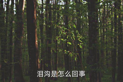 淚溝是怎么回事