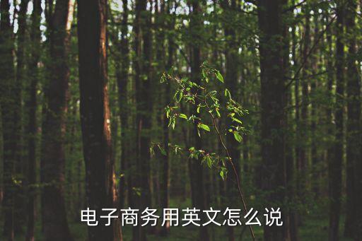 電子商務用英文怎么說