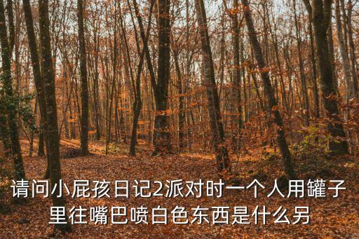 小屁孩日記2，請問小屁孩日記2派對時一個人用罐子里往嘴巴噴白色東西是什么另