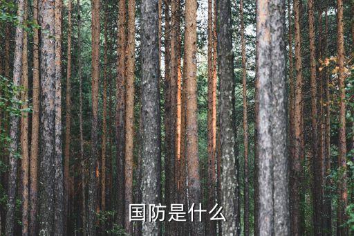 國防，國防是什么