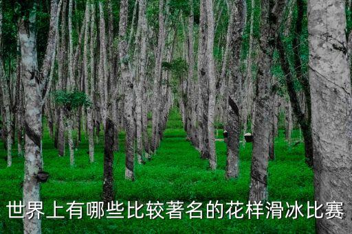 世界上有哪些比較著名的花樣滑冰比賽