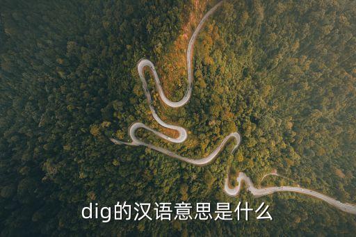 dig是什么意思，dig的漢語意思是什么