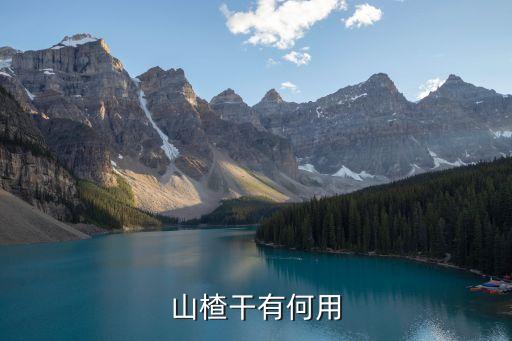 山楂干的功效與作用，山楂干有什么用