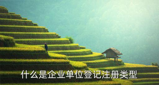 登記注冊(cè)類(lèi)型，公司登記注冊(cè)類(lèi)型有哪些