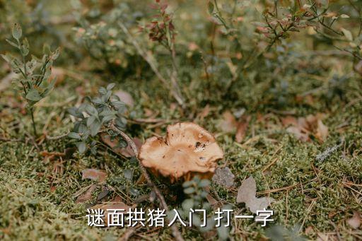 謎面拱豬入門 打一字