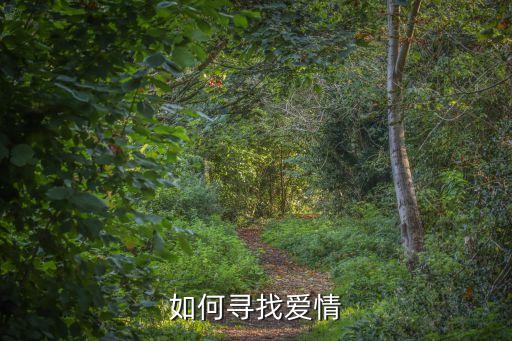 追尋愛(ài)，如何尋找愛(ài)情
