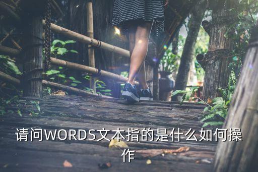 請問WORDS文本指的是什么如何操作