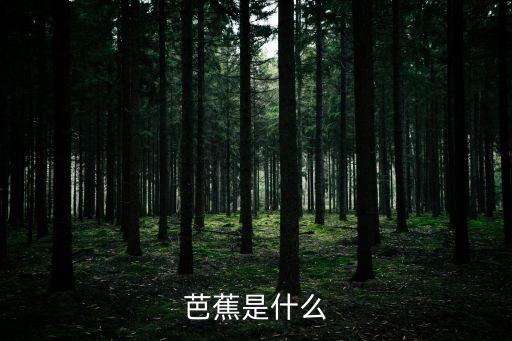 芭蕉，芭蕉指的是什么