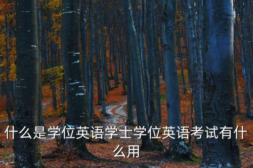 什么是學(xué)位英語學(xué)士學(xué)位英語考試有什么用