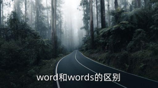 words，word和words的區別