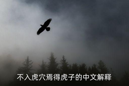 不入虎穴焉得虎子的中文解釋