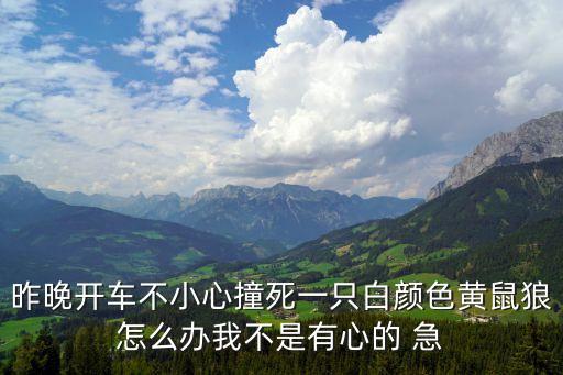 白色黃鼠狼，黃鼠狼有全身長白色毛的嗎
